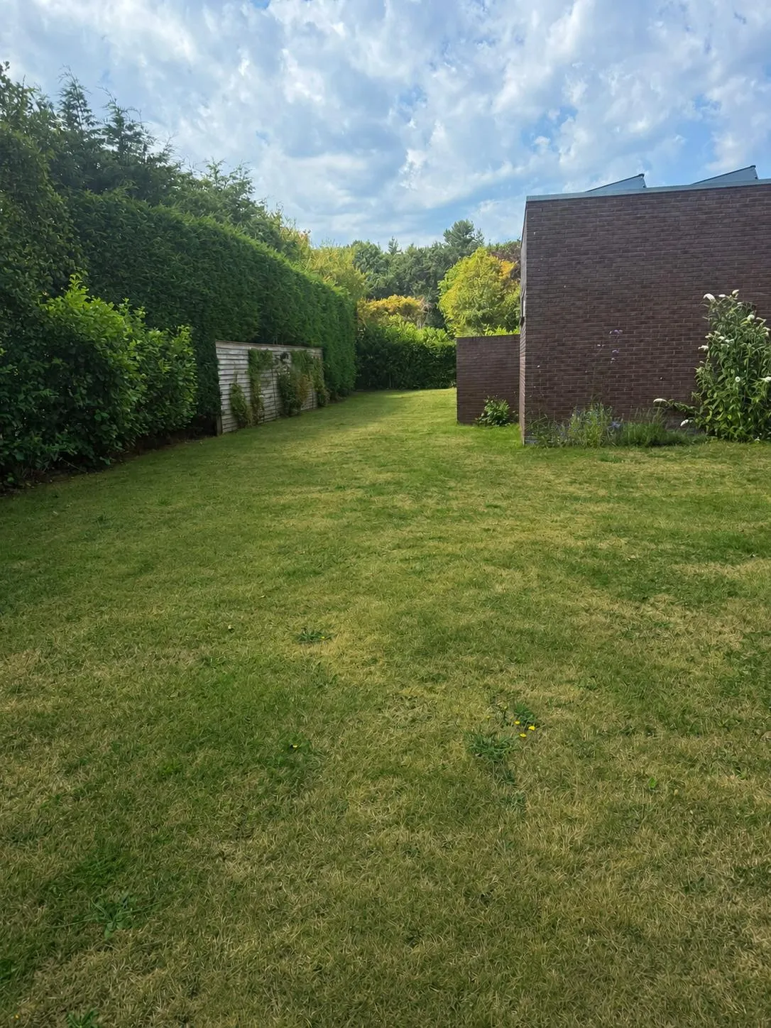 Grote tuin van vakantiehuis Hesselte